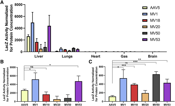 Figure 4