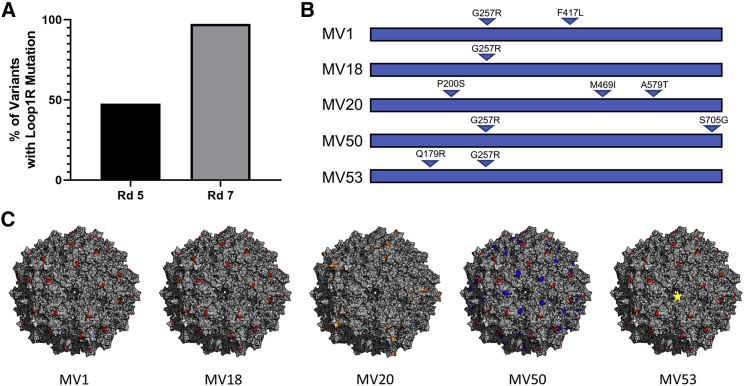 Figure 2