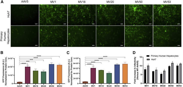 Figure 3