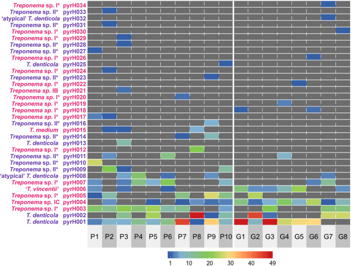 FIG 1