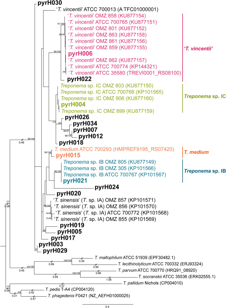 FIG 3