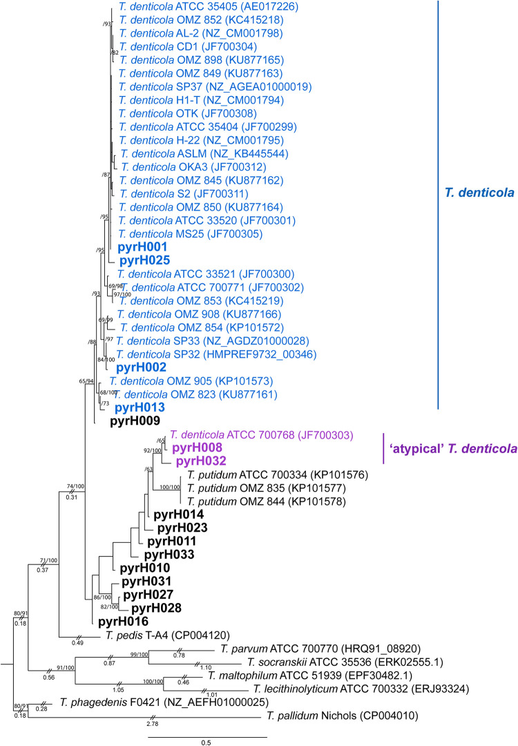 FIG 4