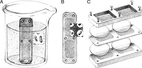 FIG. 1.