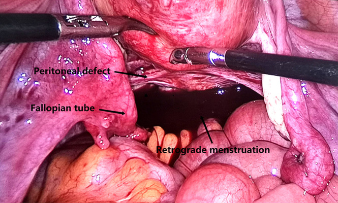 Figure 7