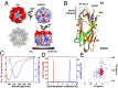 Fig. 2.