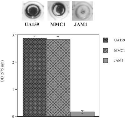 FIG. 4.