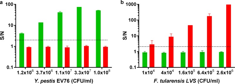 FIG 6