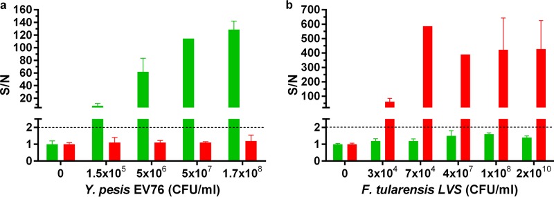 FIG 7