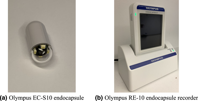 Fig. 1