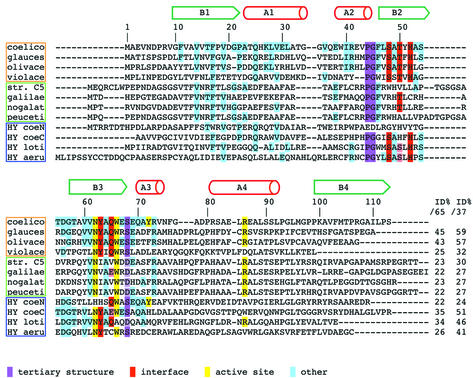 graphic file with name cdg031f3.jpg