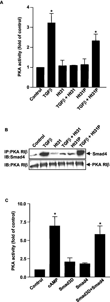 FIG.4.