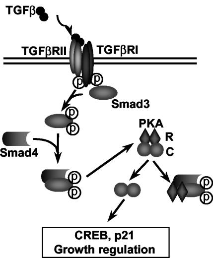 FIG. 7.