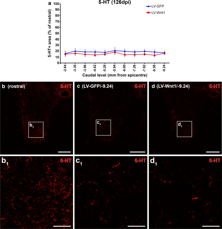 Fig. 12