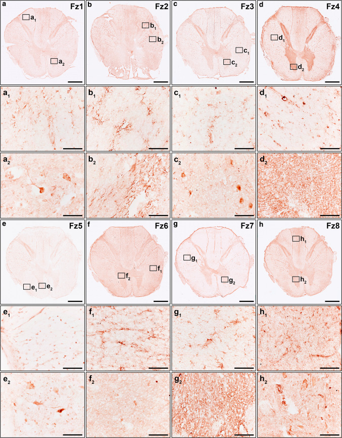 Fig. 2