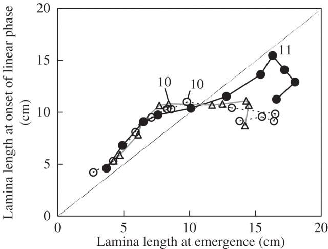 Fig. 16