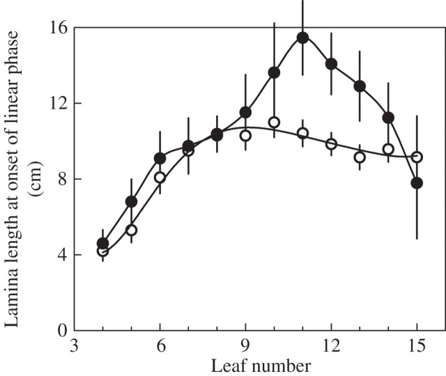 Fig. 8