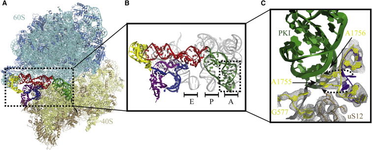 Figure 3