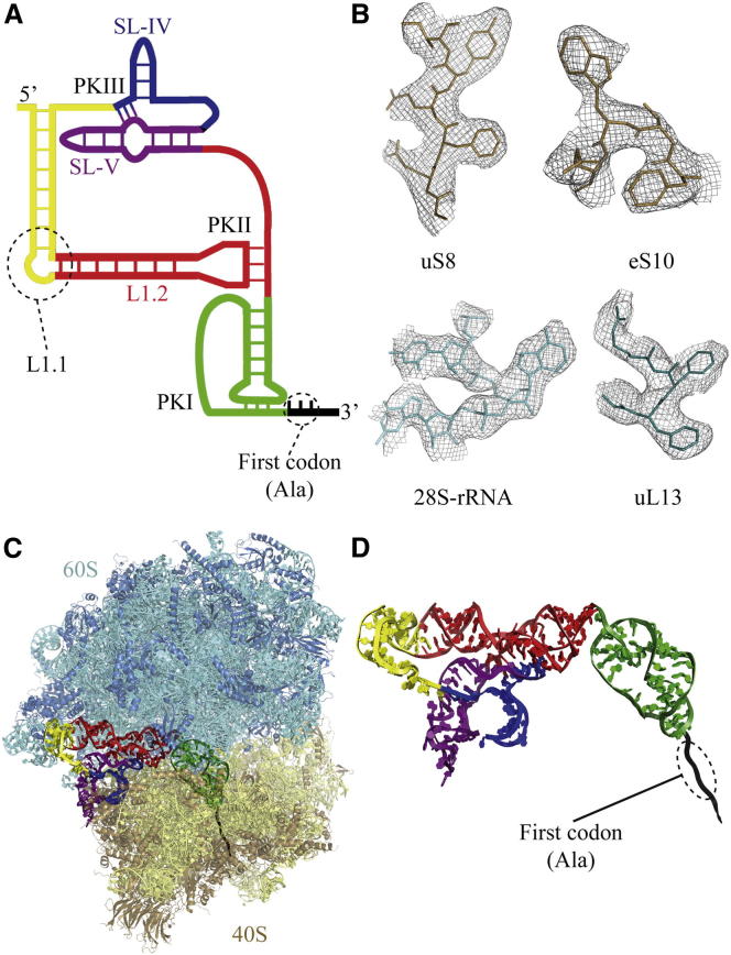 Figure 1