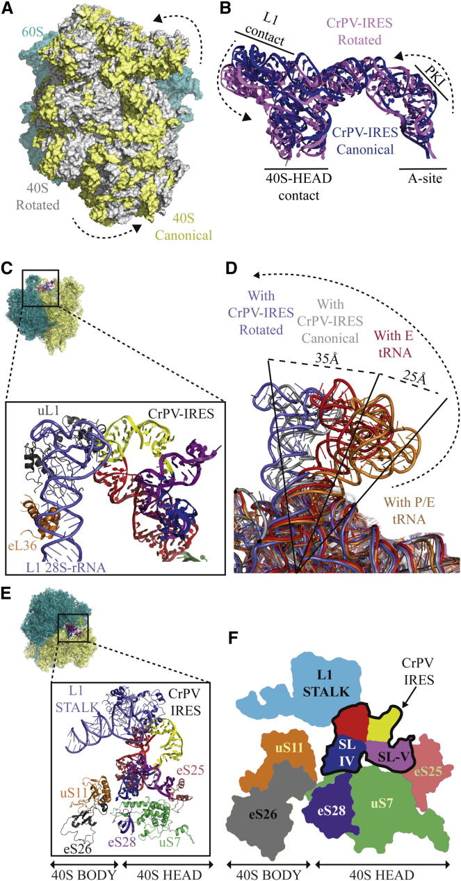 Figure 2