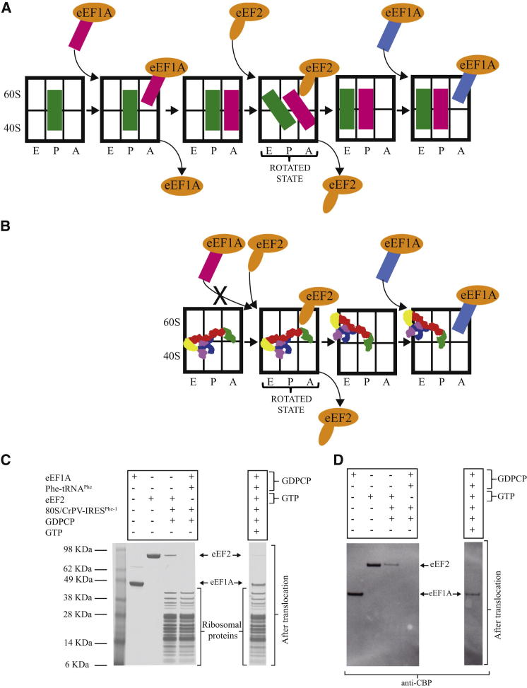 Figure 4