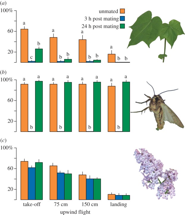 Figure 1.