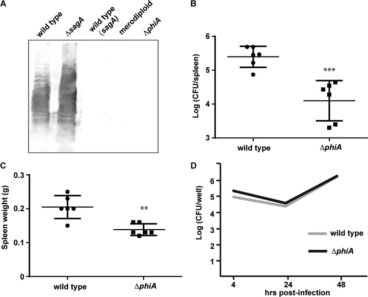 FIG 4