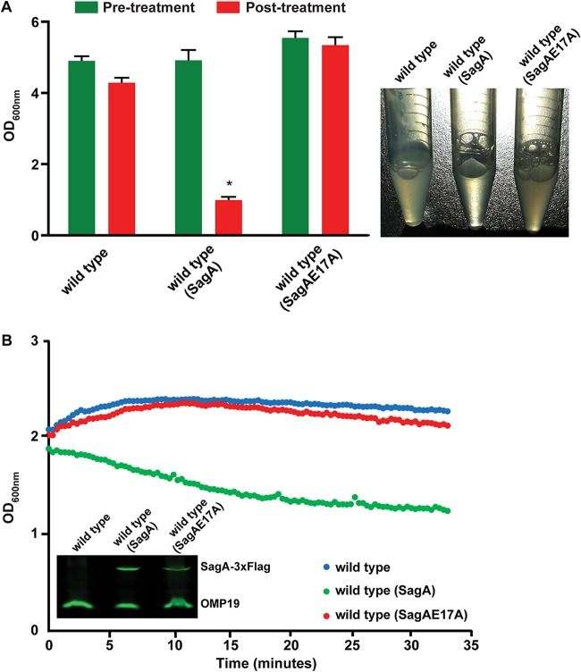 FIG 2