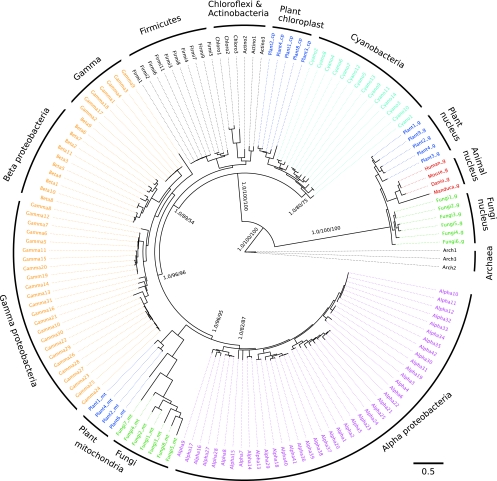 FIG. 2.