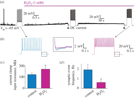 Figure 4.