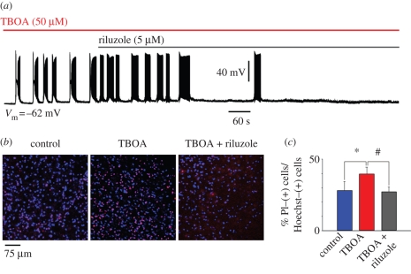 Figure 3.