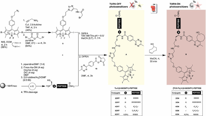 Scheme 1