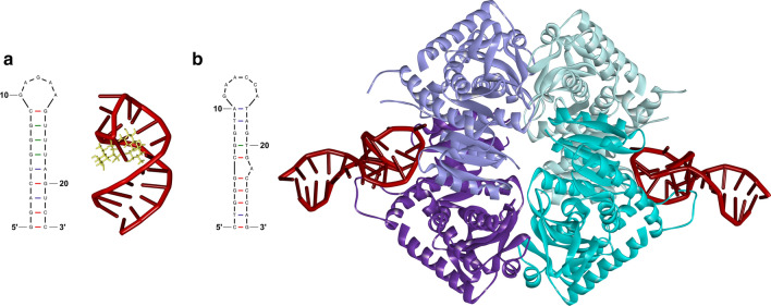 Fig. 8