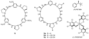 Scheme 5