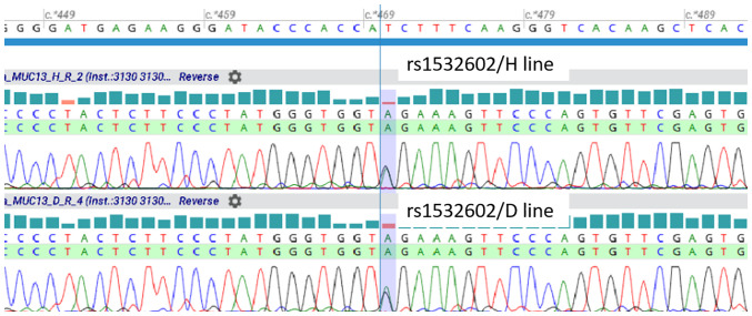 Figure 7.