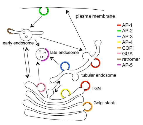 Figure 10