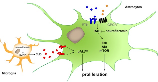 Figure 6.