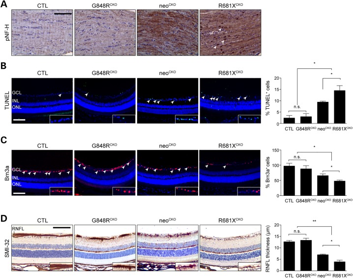 Figure 3.