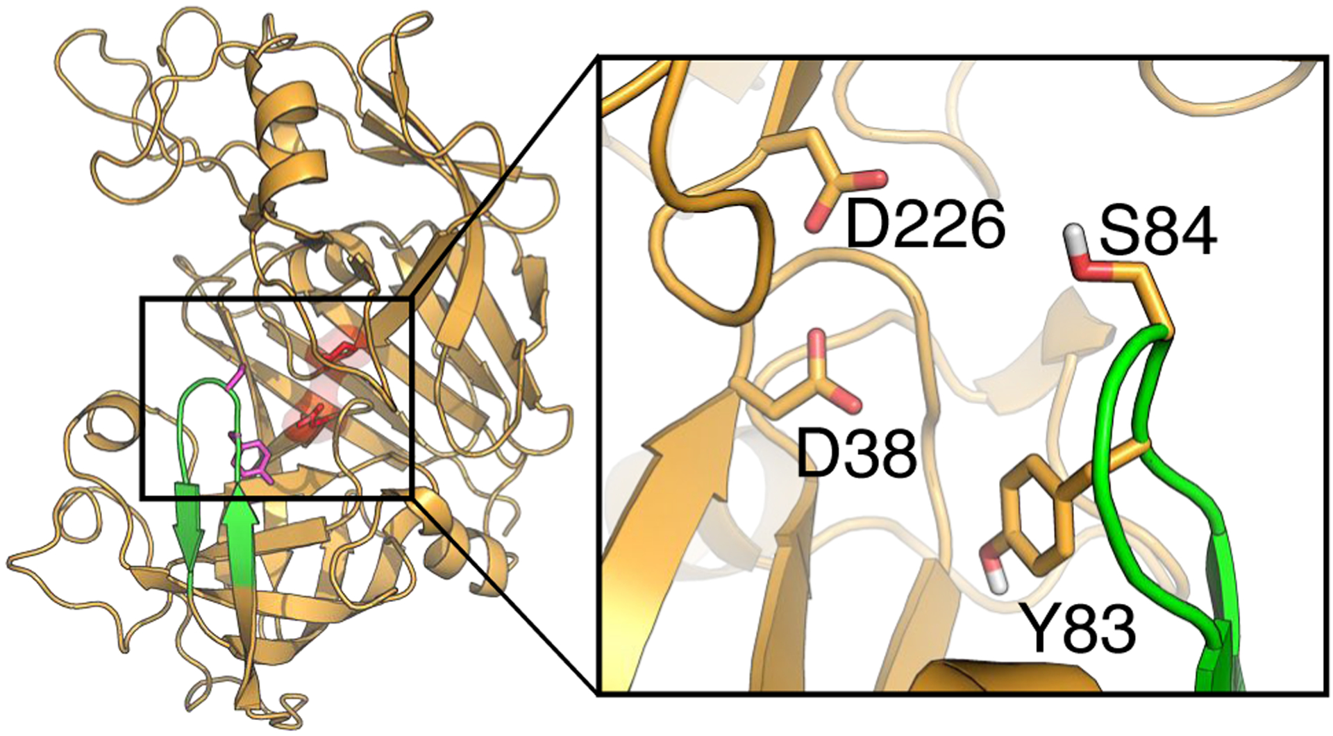 Figure 2.