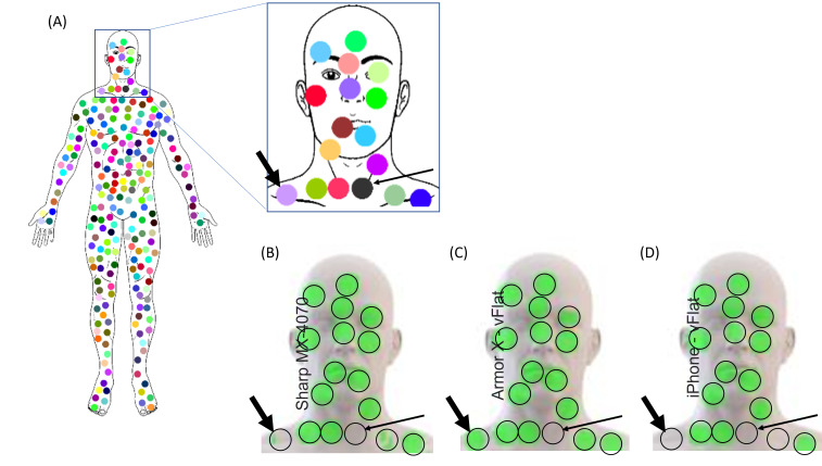 Figure 3.