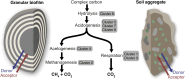 Fig 5