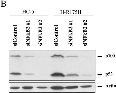 FIG. 9.