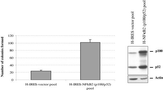 FIG. 8.