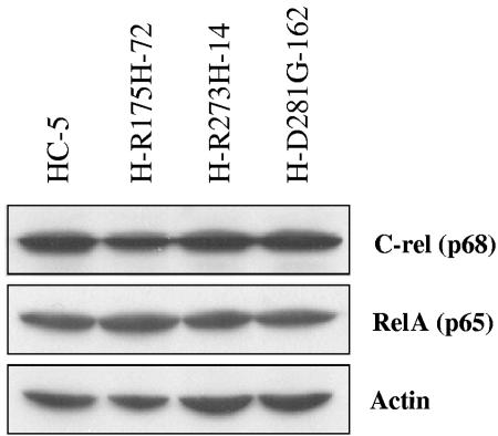 FIG. 6.