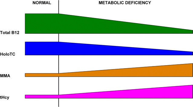 Fig. 7