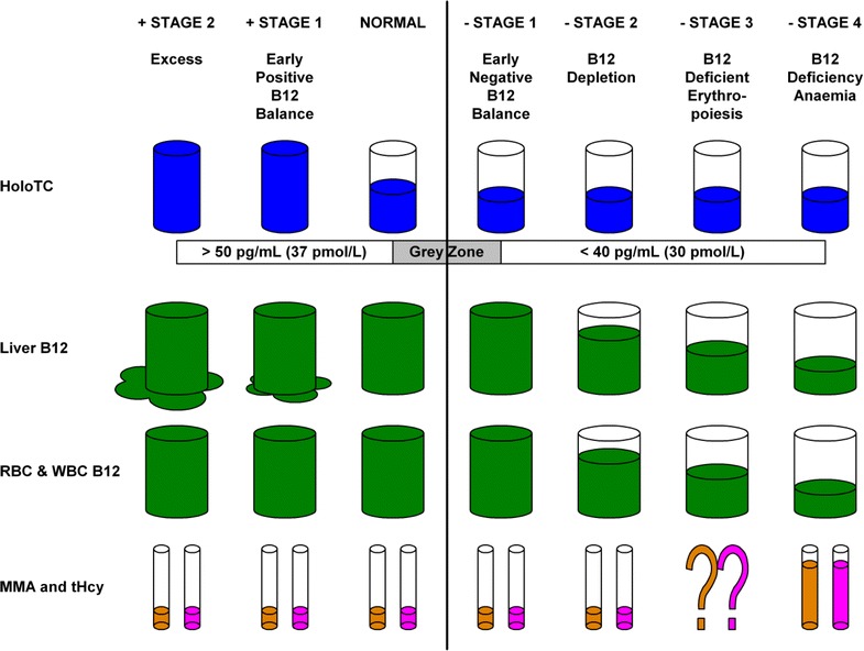 Fig. 2