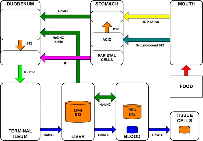 Fig. 3