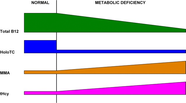 Fig. 6