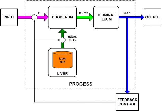 Fig. 4