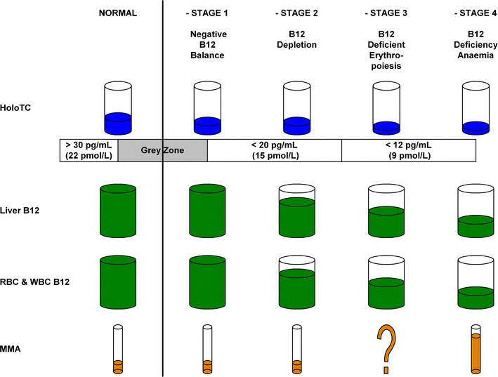 Fig. 1