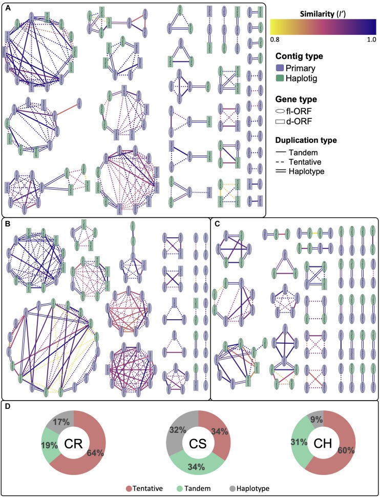 FIGURE 4